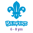 Crawley District Scouts