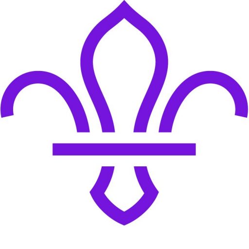 Uniform Badges  First Taverham Scouts