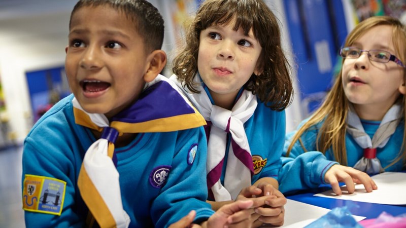 Beavers – Crawley District Scouts